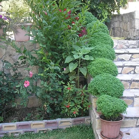 Stefanos 2*